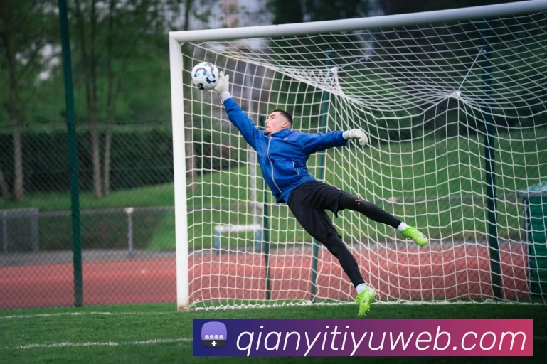 多媒体互动体验